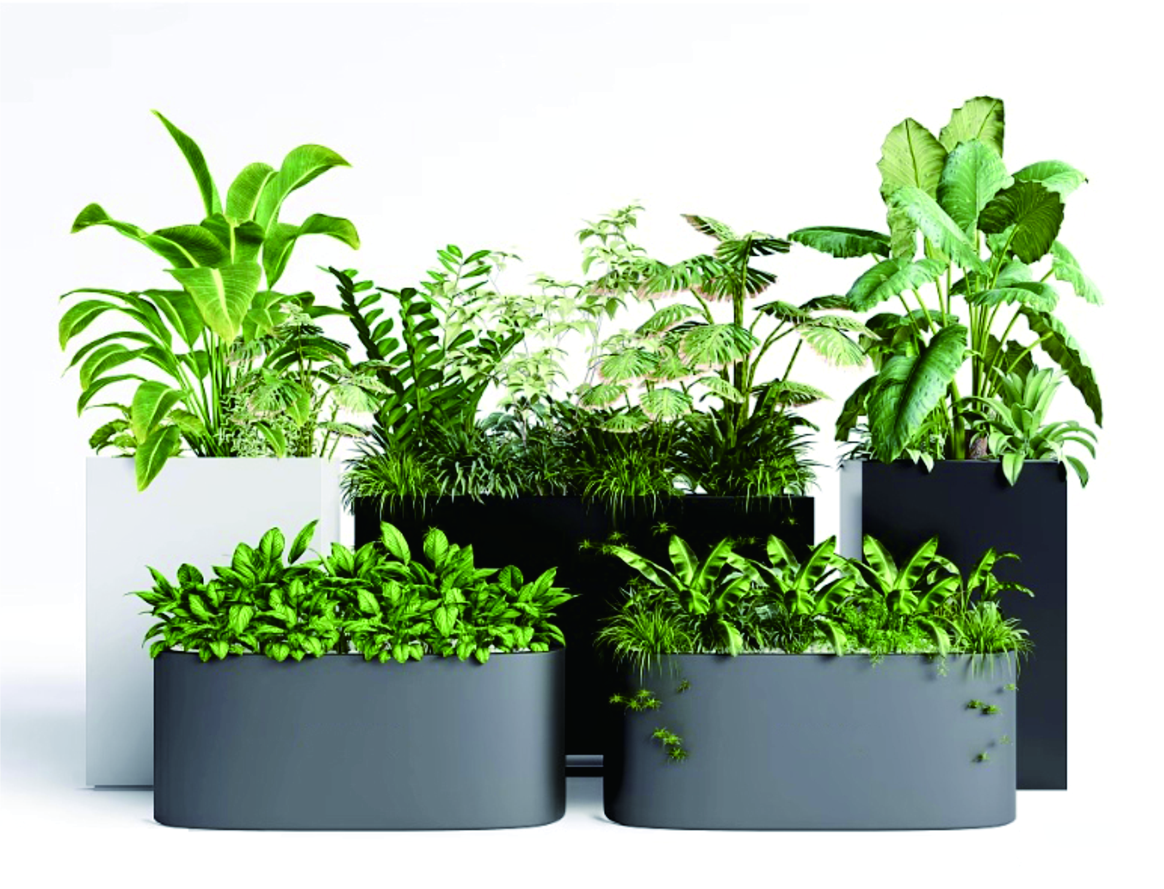 Window Planter Box