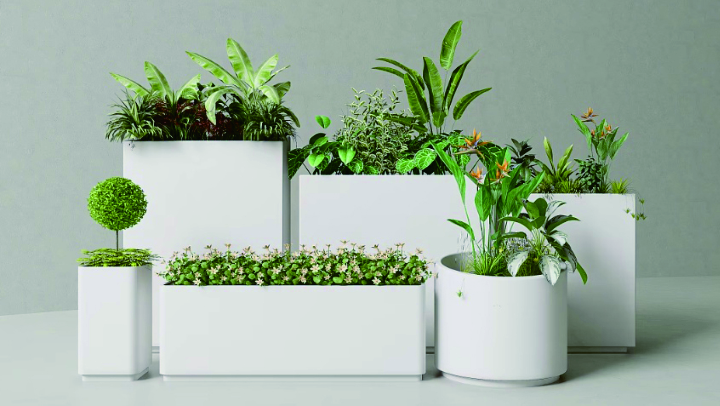 Decorative Planter Set